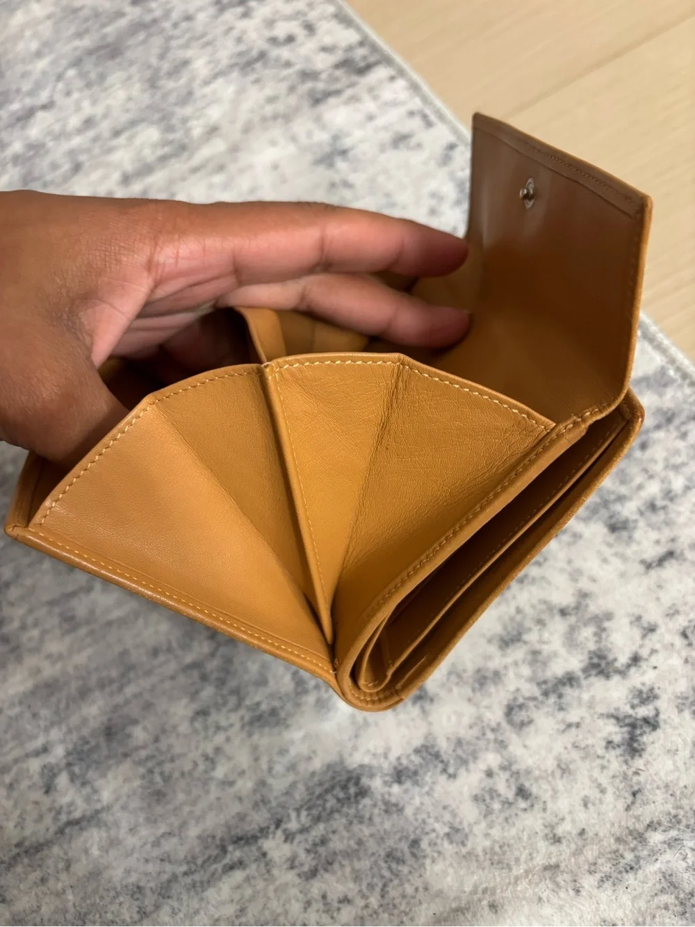 Loewe tan wallet